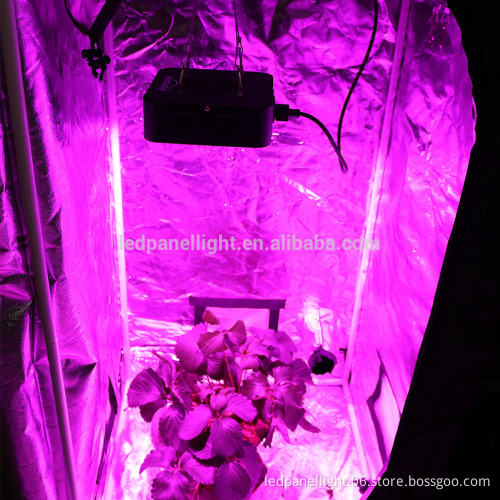 90W full spectrum COB led grow light panel lamp indoor flower Veg plant yard garden